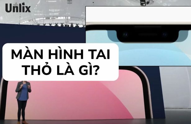Màn hình tai thỏ là gì?